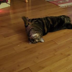 Meet your Posher, Omar